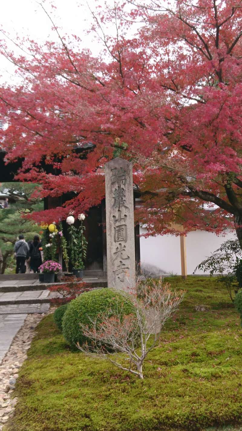 京都・秋のオススメ紅葉スポット♪